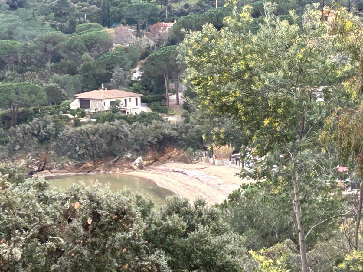 Suosogno Sul Mare 200Metri Dalla Spiaggia Capoliveri  Exteriér fotografie
